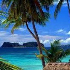 Meet your Posher, Nhung